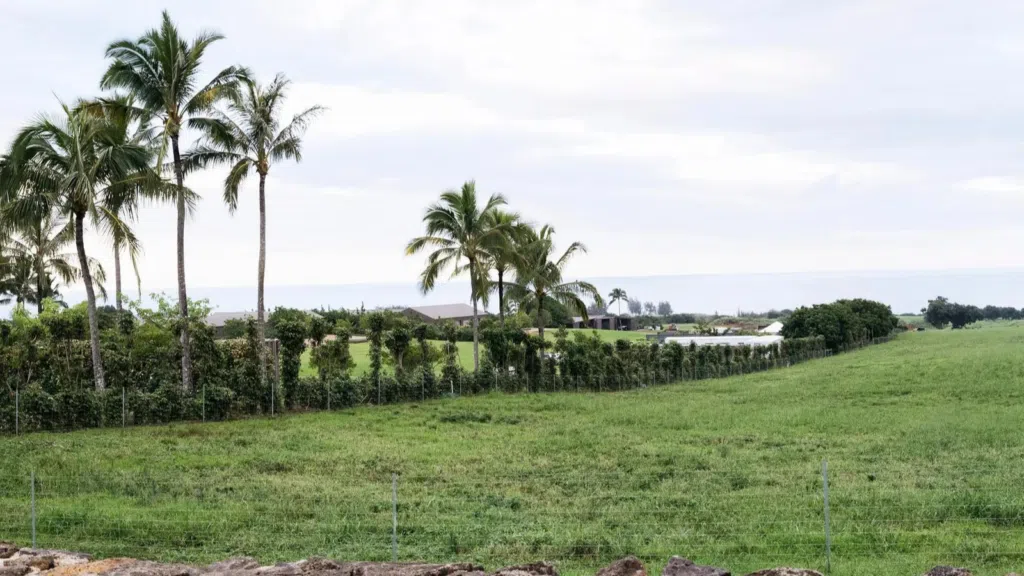 Mark zuckerberg está construindo um bunker secreto no havaí Mark zuckerberg está construindo um bunker secreto no havaí. Projeto de ceo possui duas mansões, meia dúzia de prédios e 5. 000 metros quadrados; saiba mais