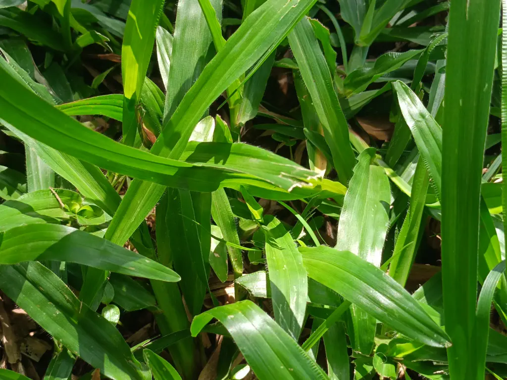 Review: realme 11x 5g, celular barato com 5g e ótima bateria Review: realme 11x 5g, celular barato com 5g e ótima bateria. Por cerca de r$ 1. 200 você compra o realme 11x 5g, que tem bateria que realmente dura o dia todo. Vem conferir tudo sobre este smartphone