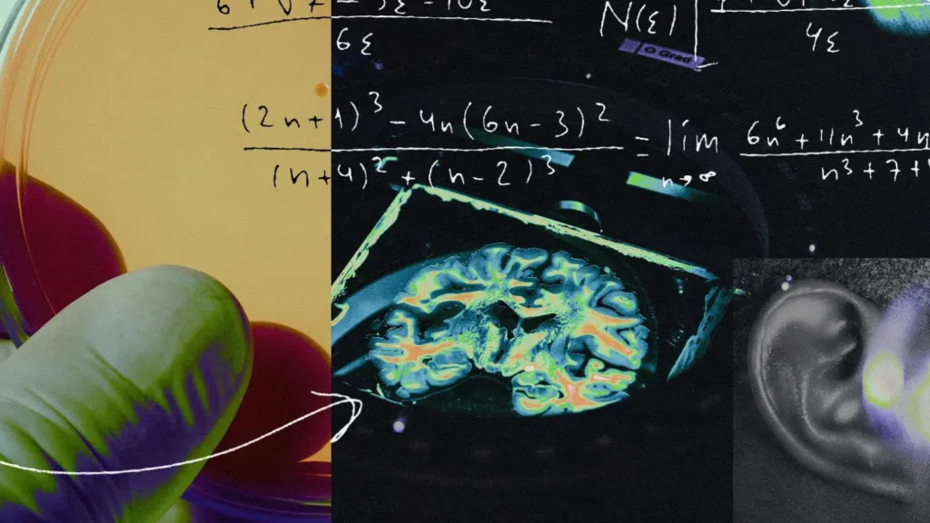 Cyborgcomputer die AI en menselijke hersencellen combineert, werkt echt Cyborg-computer die AI en menselijke hersencellen combineert, werkt echt. Technologie gecreëerd door wetenschappers zou het begin kunnen markeren van een nieuw tijdperk in machinaal leren