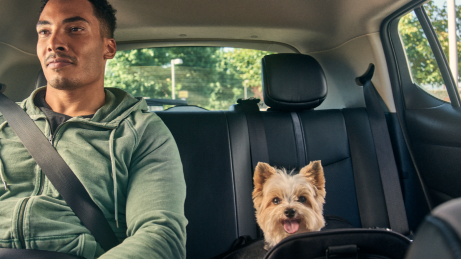 Uber pet chega em sp e rj para transportar seu animal de estimação. Ao lado de seus tutores, cães e gatos terão mais conforto e segurança com o uber pet. Conheça mais detalhes sobre esse serviço!