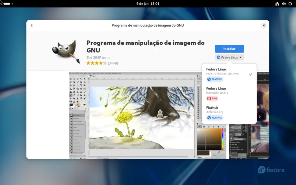 Flatpak é o gerenciador padrão usado pelo gnome software para instalação de programas no fedora 39