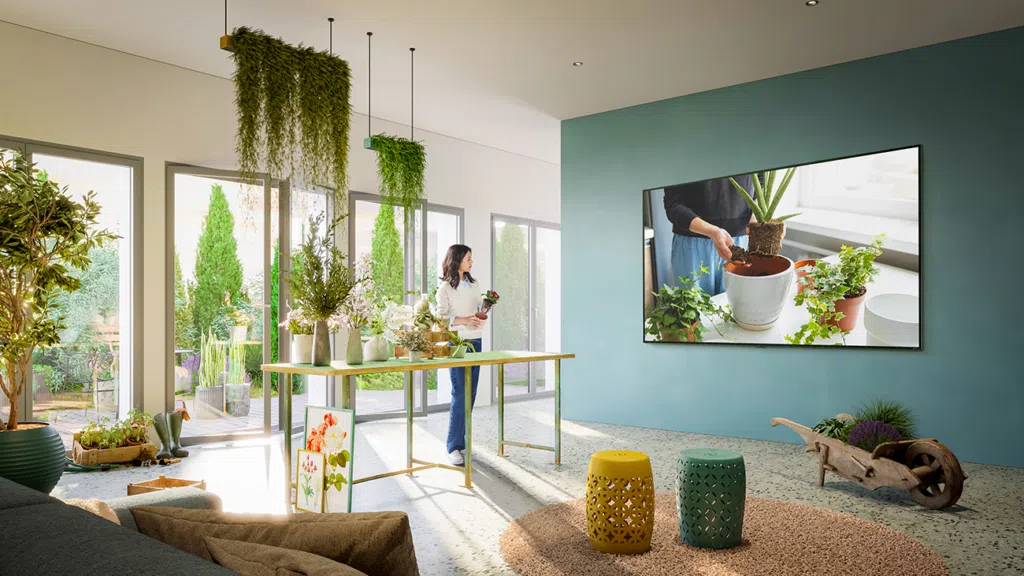 Plantas decorativas em ambiente de sala com televisão e jardim externo ao fundo.