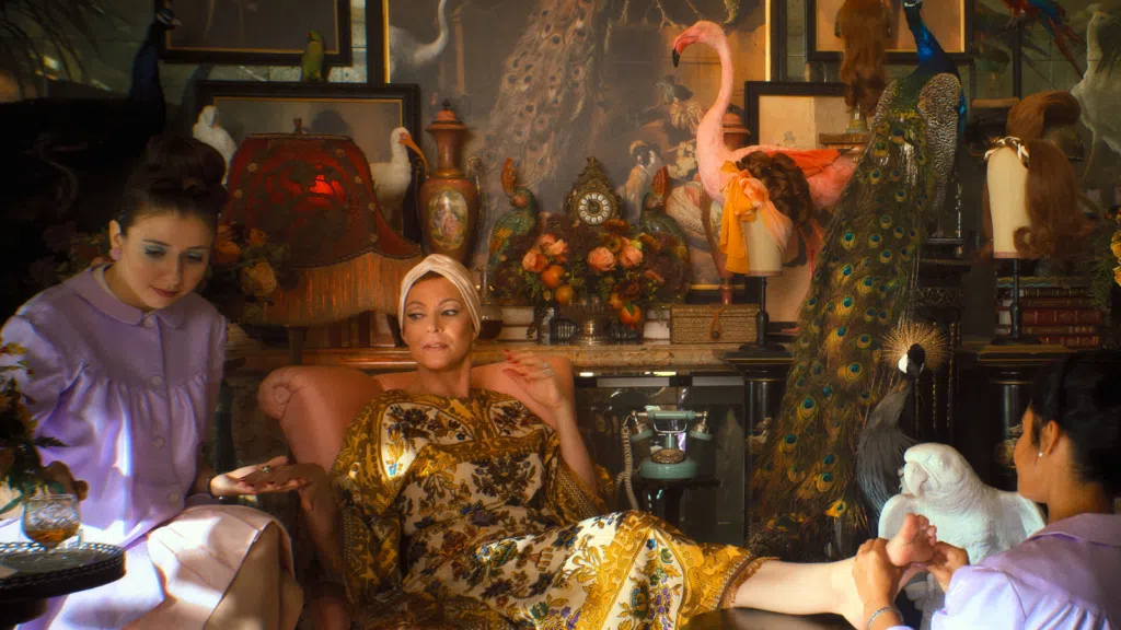 O que esperar de palm royale, série nova da apple tv+ O que esperar de palm royale, série nova da apple tv+. Com data de lançamento para 20 de março de 2024, a nova série acompanha a trajetória de maxine simmons (kristen wiig) e seu objetivo de fazer parte da alta sociedade de palm beach.