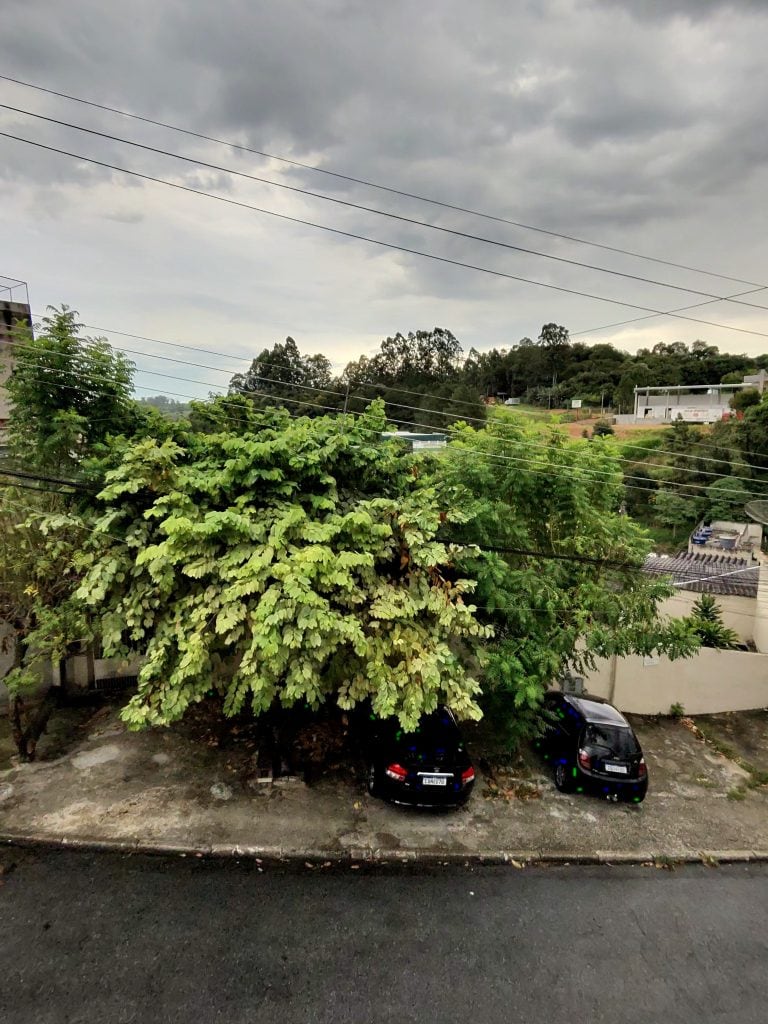 Review: ray-ban meta innoveert perfect op het gebied van contentcreatie Foto gemaakt met een meta-smartbril