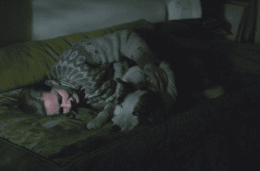 Anatomia de uma queda