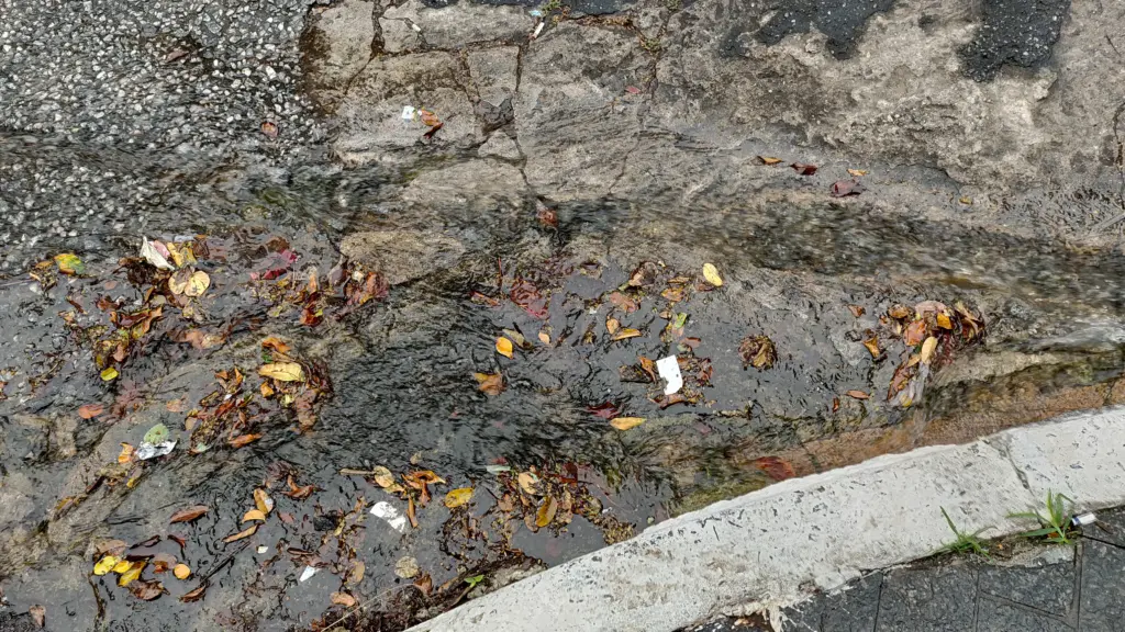 Review: galaxy m55 surpreende pelo armazenamento e fotos em ambientes escuros Fotos com maiores camadas são potencializados com a câmera principal de 50mp do galaxy m55. (foto: reprodução/enzo sapio monello/showmetech)