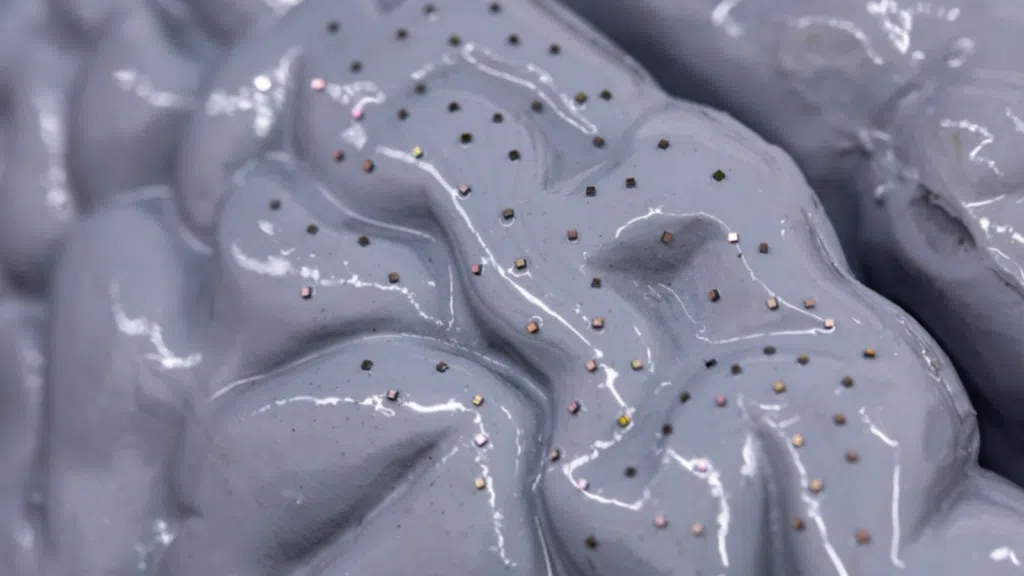 Ghiaccio tritato al carbone attivo con piccole perle decorative lucide.