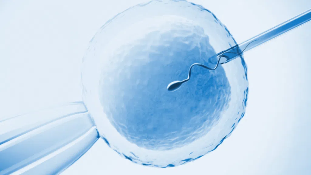 Startup orchid aposta em bebês geneticamente selecionados Orchid revoluciona a tecnologia reprodutiva.