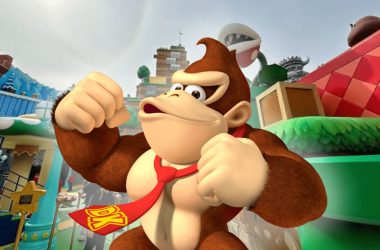 Foto do macaco donkey kong