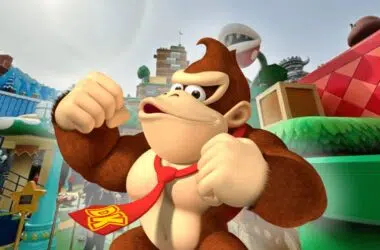 Foto do macaco donkey kong