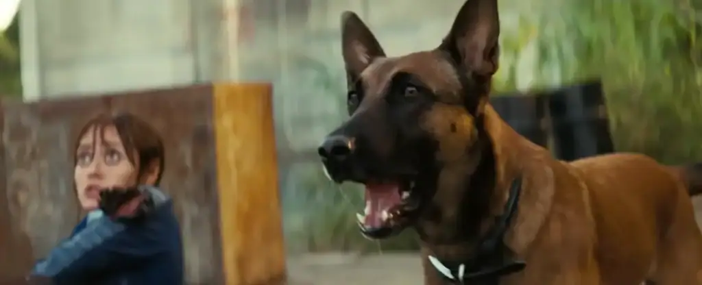 Crítica: fallout é muito melhor do que o esperado Crítica: fallout é muito melhor do que o esperado. Nova produção do prime video e bethesda consagra “era de ouro” das adaptações de videogames. Confira a análise completa!