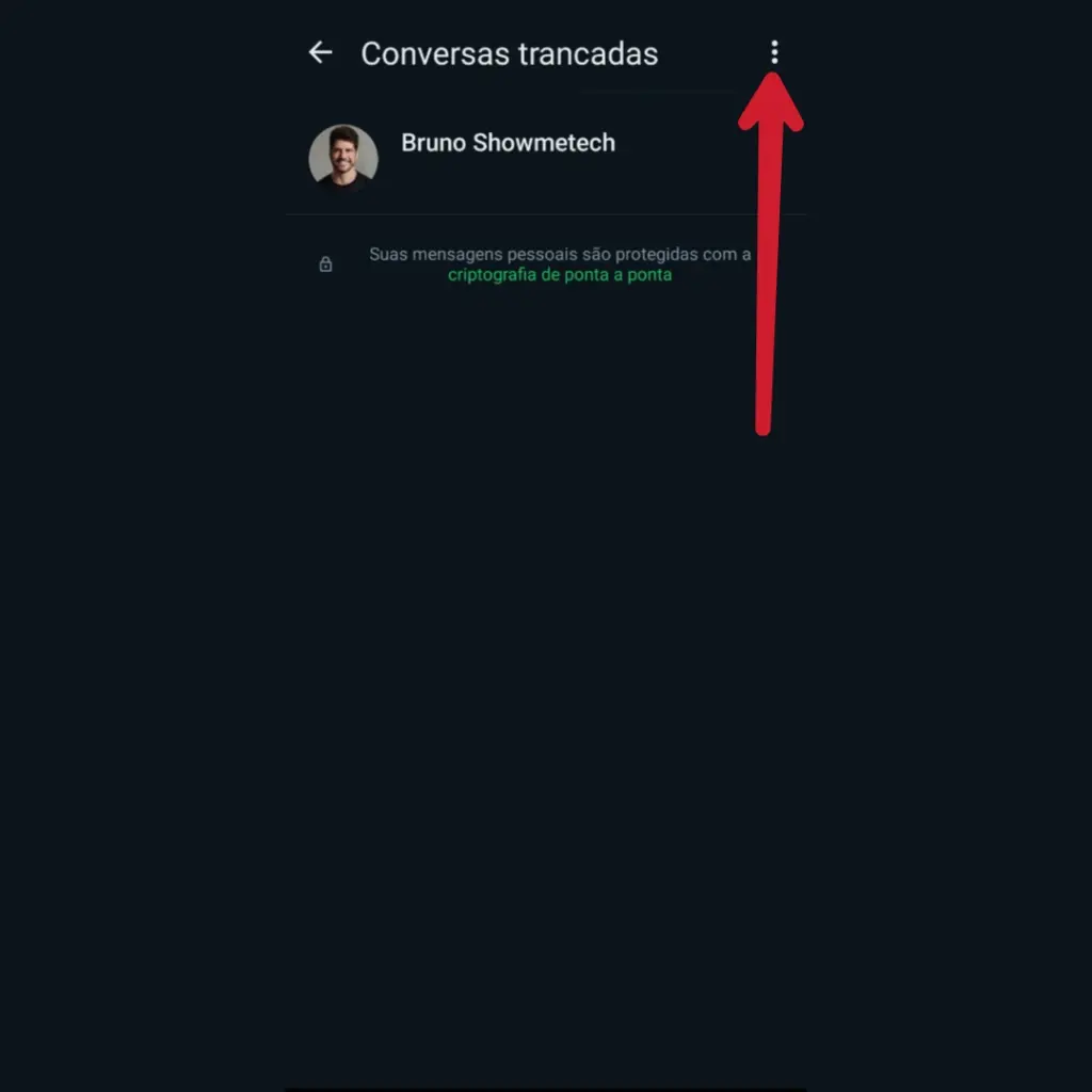 Como proteger mensagem com senha no whatsapp (bloqueio de conversa) Passo a passo para proteger mensagem com senha no whatsapp