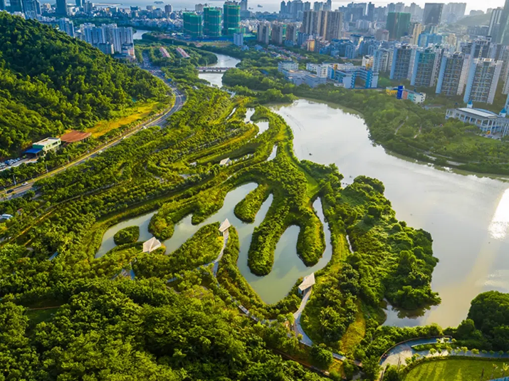 O que são cidades-esponja e como elas podem evitar inundações Cidades-esponja