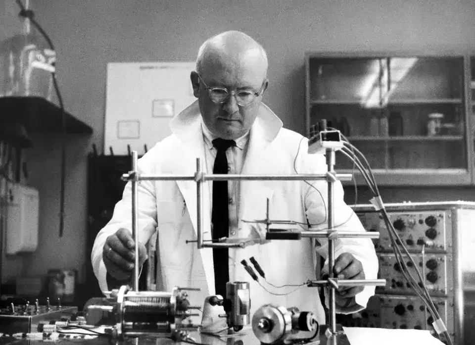 Vídeo simula transplante de cabeça feito via ia e viraliza na internet; entenda Robert white