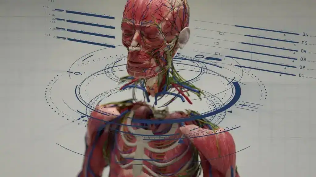 Vídeo simula transplante de cabeça feito via ia e viraliza na internet; entenda Foto de conceito de transplante de corpo da brainbridge