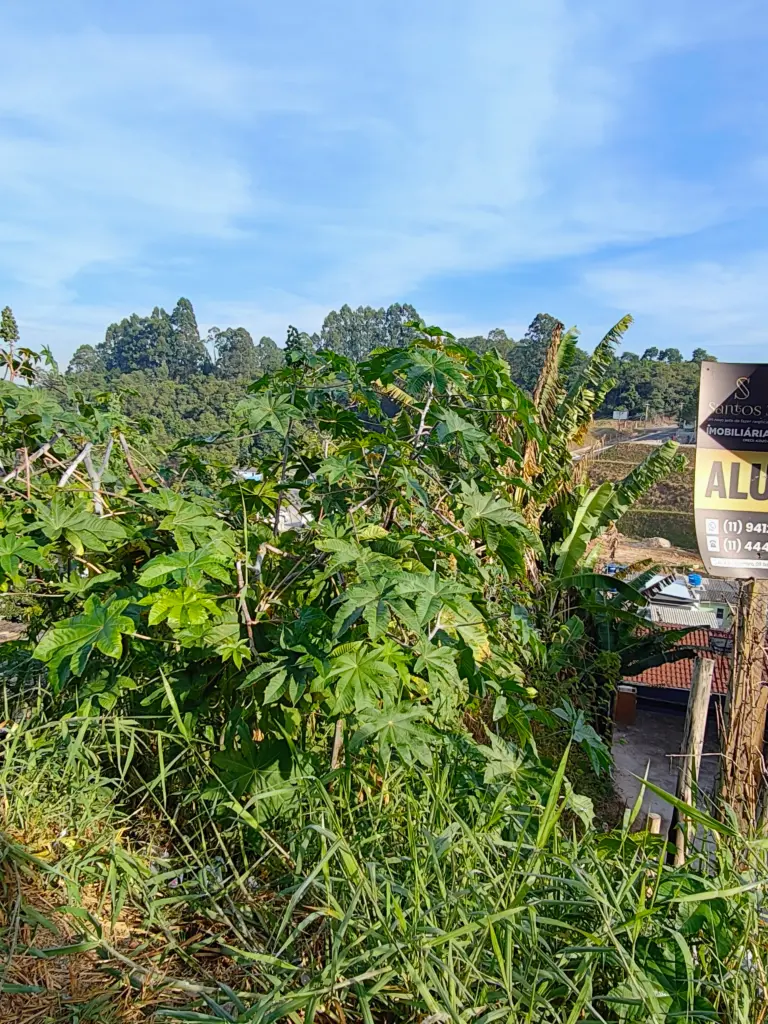 Review: motorola edge 50 ultra, avaliamos o melhor smartphone da motorola! Review: motorola edge 50 ultra, avaliamos o melhor smartphone da motorola!. Equipado com ferramentas de inteligência artificial e câmeras premium para fãs de fotografia, esse celular impressiona. Veja a análise