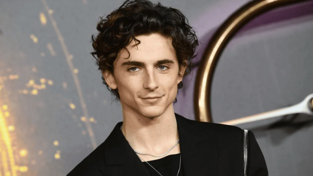 A-listers: conheça as atuais estrelas do cinema que dominam hollywood Timothée chalament é um das estrelas do cinema atuais.