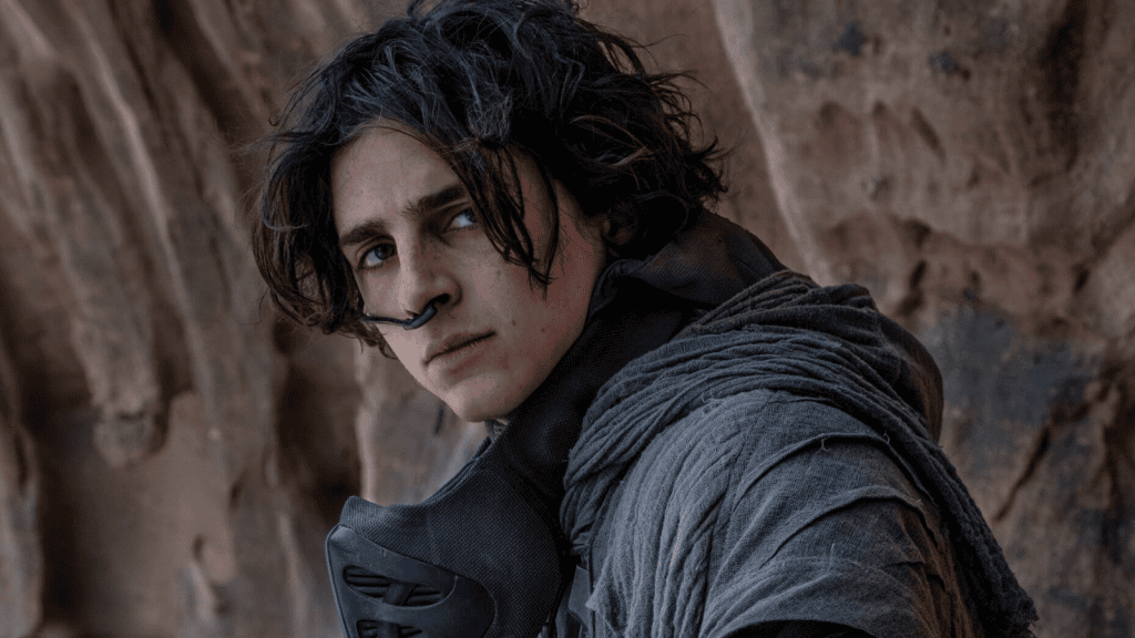 A-listers: conheça as atuais estrelas do cinema que dominam hollywood Como outros a-listers de hollywood, timothée chalament marcou presença em duna.