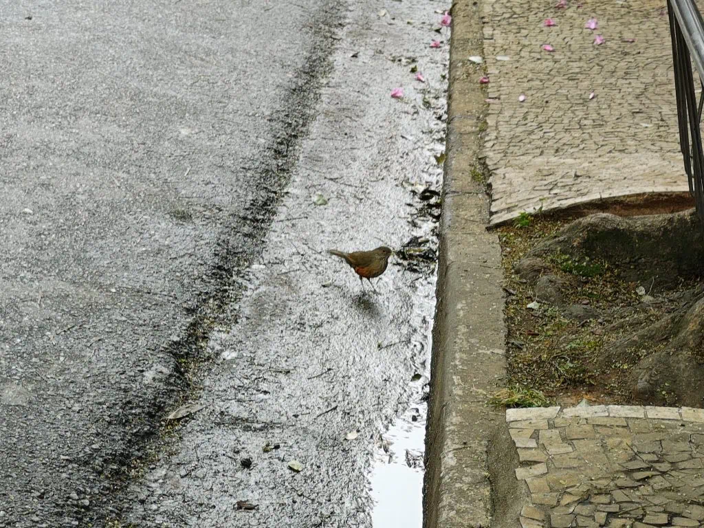 Review: moto razr 50 ultra é um dobrável estiloso com boas câmeras Review: moto razr 50 ultra é um dobrável estiloso com boas câmeras. Com um sistema de câmeras renovado e maior duração de bateria em relação ao moto razr 40 ultra, aparelho é o grande concorrente do galaxy z flip6. Confira o que achamos