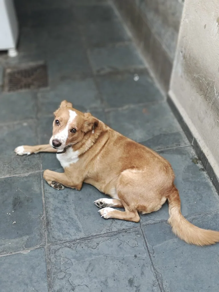 Review: moto razr 50 ultra é um dobrável estiloso com boas câmeras Review: moto razr 50 ultra é um dobrável estiloso com boas câmeras. Com um sistema de câmeras renovado e maior duração de bateria em relação ao moto razr 40 ultra, aparelho é o grande concorrente do galaxy z flip6. Confira o que achamos