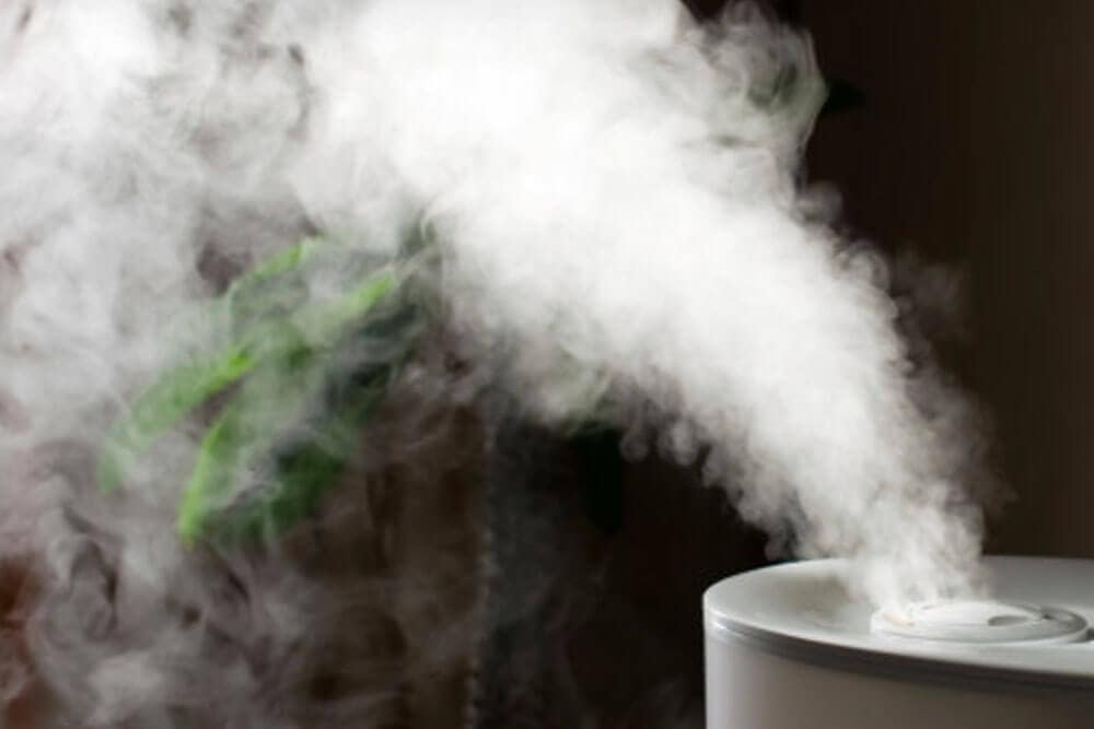今買うべき最高の加湿器10選 今買うべき最高の加湿器
