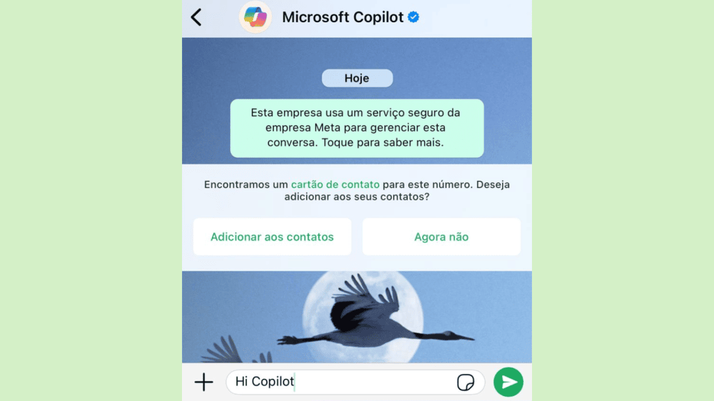 Copilot, ia da microsoft, chega ao whatsapp. Saiba como usar Copilot, ia da microsoft, chega ao whatsapp. Saiba como usar. Em poucos passos você adiciona a ia à sua agenda do iphone ou android e já pode criar imagens, corrigir textos e muito mais! Confira