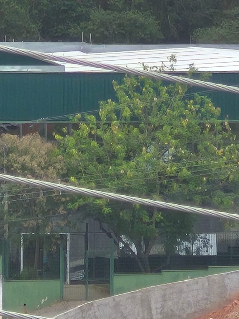 Testbericht: Das Galaxy S24 Fe verfügt über einen vollständigen Kamerasatz und eine hohe Multitasking-Leistung Testbericht: Das Galaxy S24 FE verfügt über einen vollständigen Kamerasatz und eine hohe Multitasking-Leistung. Angetrieben durch künstliche Intelligenz verfügt das Smartphone über tolle Kameras, einen Akku für den ganzen Tag und einen leistungsstarken Prozessor. Schauen Sie sich unsere Analyse an