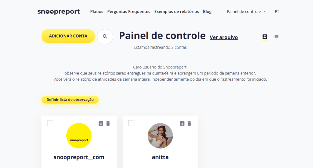 Como monitorar influenciadores e analisar o engajamento deles Snoopreport da anitta