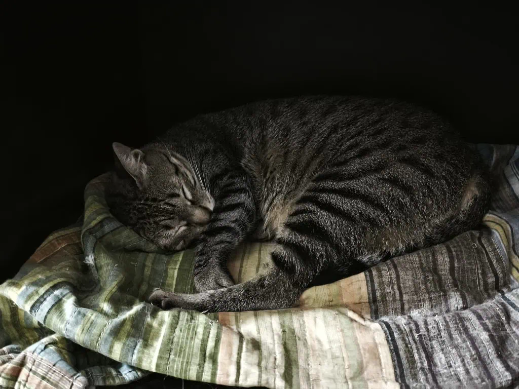 review: xiaomi 14t tem câmeras incríveis e eleva o potencial da xiaomi review: xiaomi 14t tem câmeras incríveis e eleva o potencial da xiaomi. Modelo é um dos melhores smartphones da xiaomi e ainda conta com ia avançada. Confira a análise