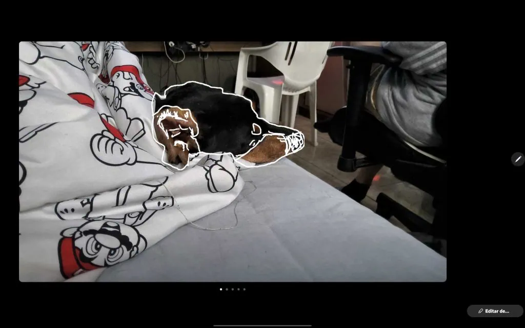 Review: galaxy tab s10 ultra é o topo dos tablets android em 2024 Foto de cachorro feita no galaxy tab s10 ultra com uso de ia