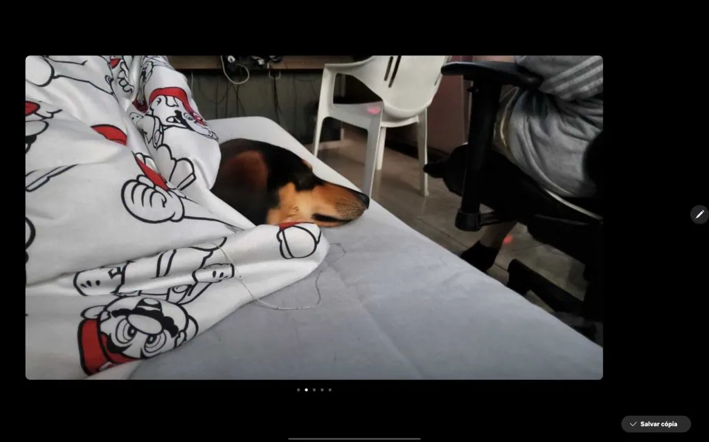 Review: galaxy tab s10 ultra é o topo dos tablets android em 2024 Foto de cachorro feita no galaxy tab s10 ultra com uso de ia