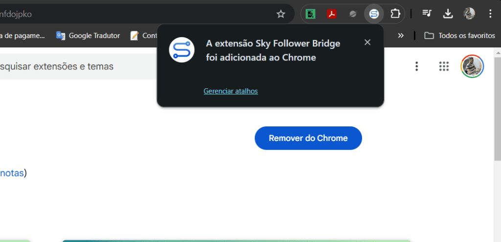 Extensão te ajuda a encontrar quem você segue do x no bluesky Página da extensão sky follower bridge