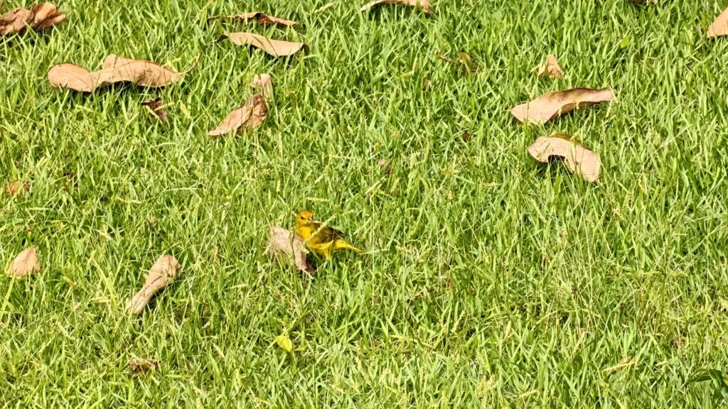 Review: realme gt 7 pro combina ótimo desempenho e fotos incríveis Review: realme gt 7 pro combina ótimo desempenho e fotos incríveis. Novo carro-chefe da realme é o primeiro do brasil com processador snapdragon 8 elite e traz tudo o que um topo de linha tem a oferecer. Confira agora a análise