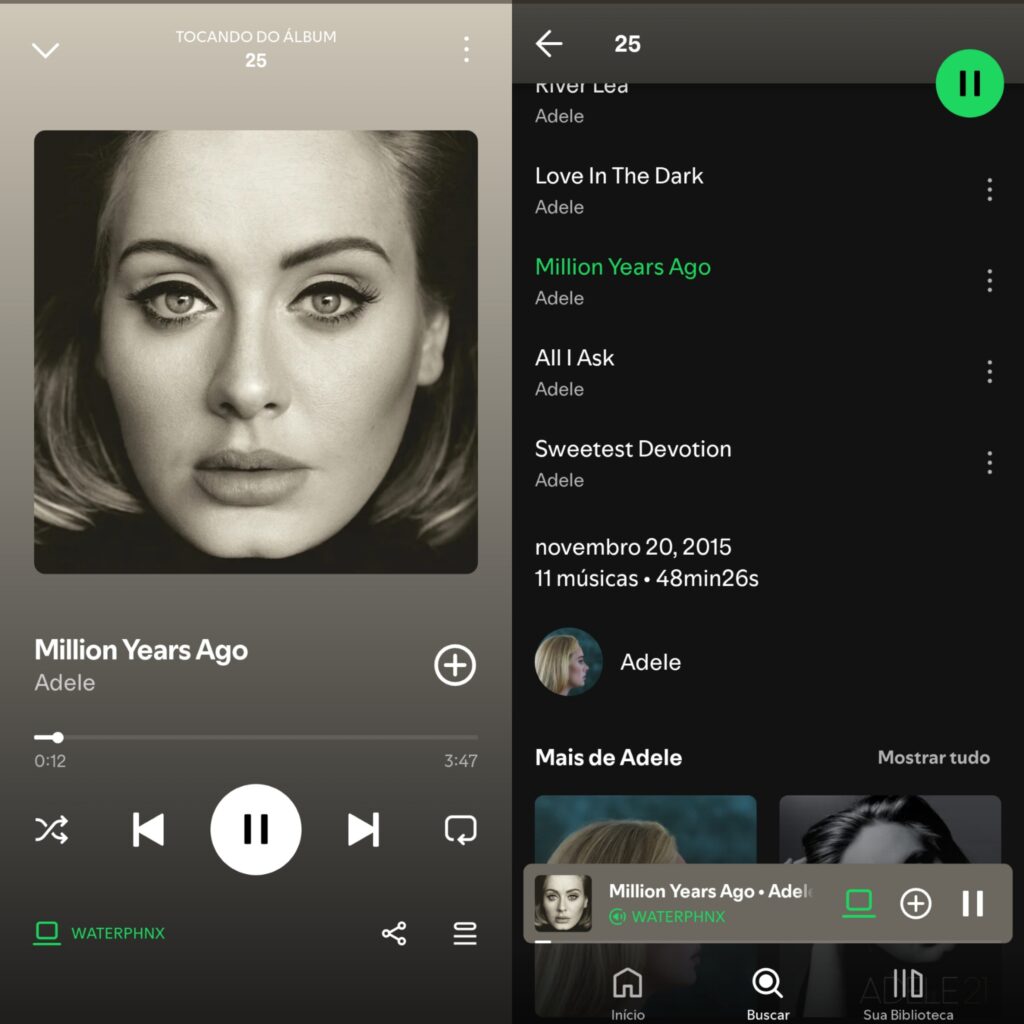 Brasilianisches Gericht ordnet sofortige Entfernung von Adeles Lied von digitalen Plattformen wegen Plagiats von Martinho da Vila an Vor Millionen Jahren, von Adele, gespielt auf Spotify