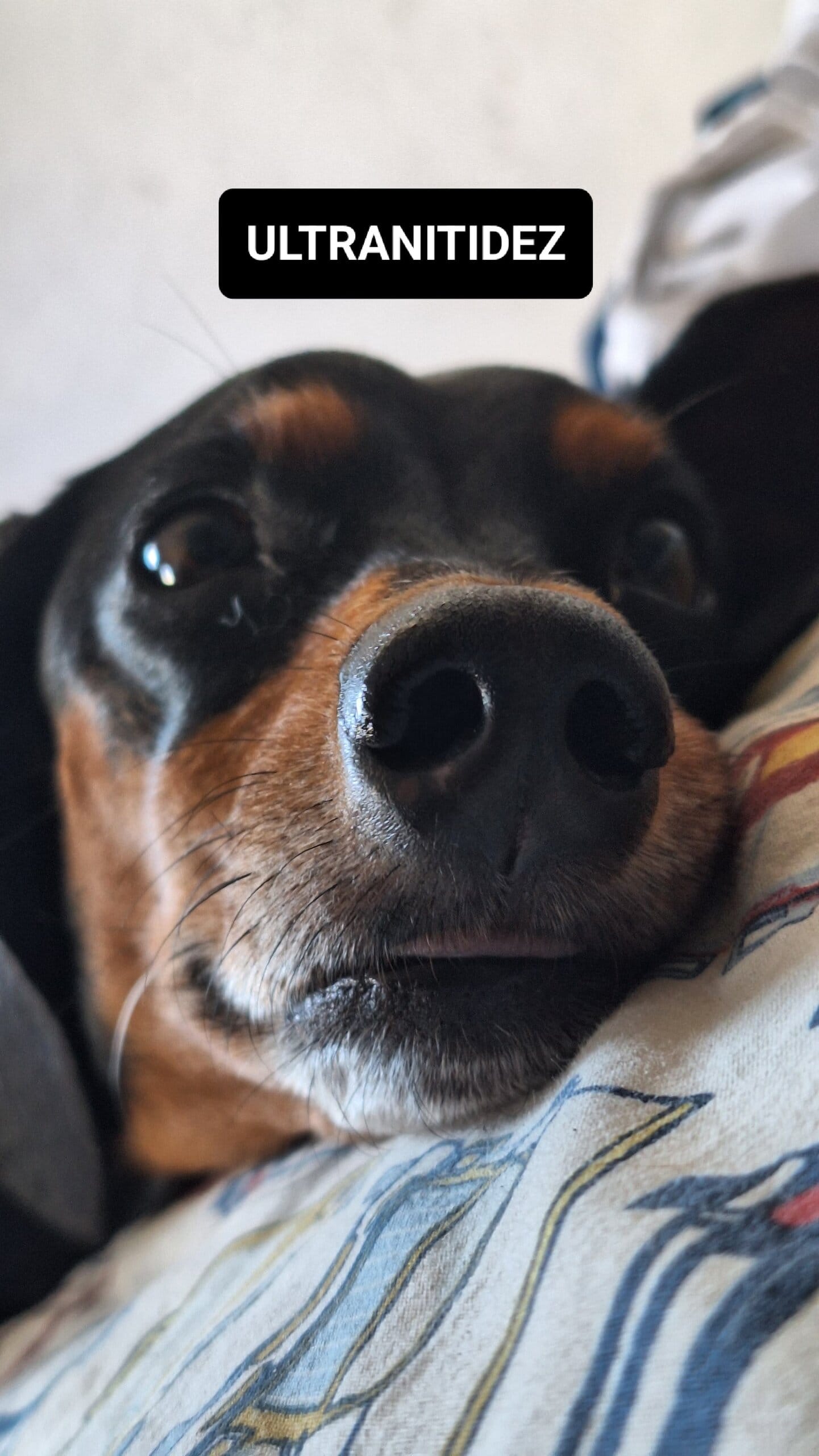 评测：realme GT 7 Pro 结合了出色的性能和令人难以置信的照片。 Realme 的新旗舰是巴西第一款配备 Snapdragon 8 精英处理器的产品，并提供顶级产品的一切功能。立即查看分析