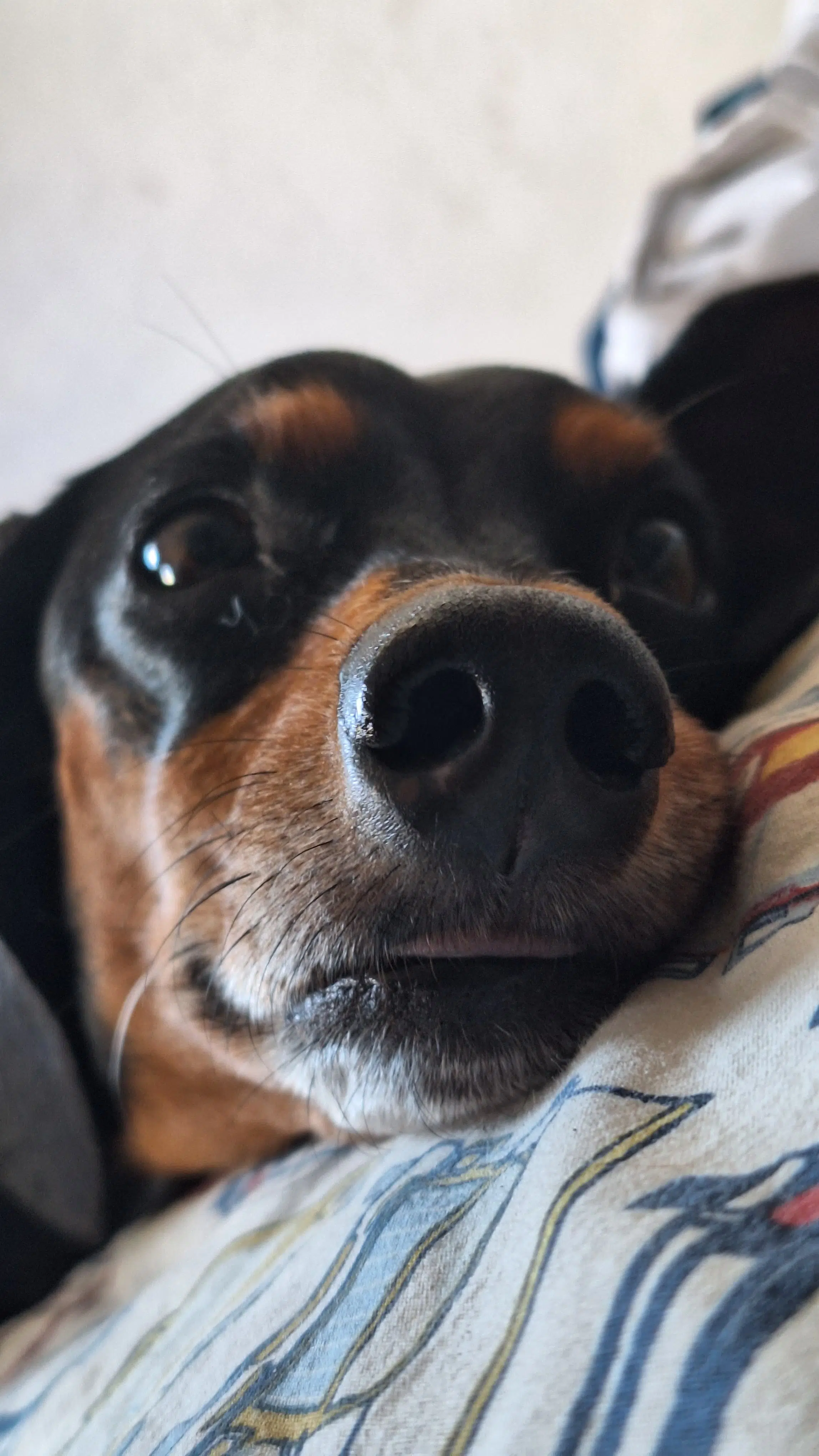 评测：realme GT 7 Pro 结合了出色的性能和令人难以置信的照片。 Realme 的新旗舰是巴西第一款配备 Snapdragon 8 精英处理器的产品，并提供顶级产品的一切功能。立即查看分析