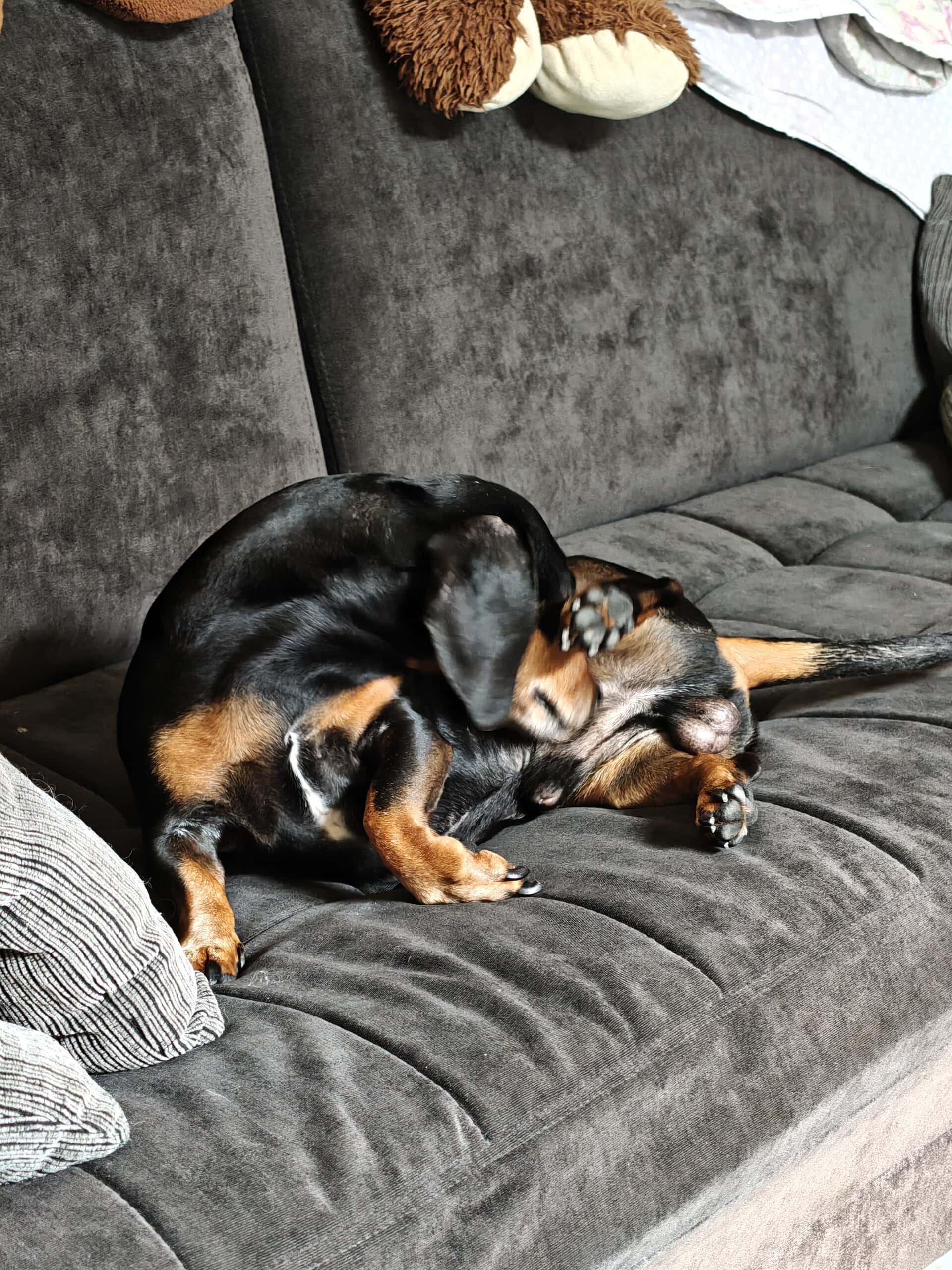 评测：realme GT 7 Pro 结合了出色的性能和令人难以置信的照片。 Realme 的新旗舰是巴西第一款配备 Snapdragon 8 精英处理器的产品，并提供顶级产品的一切功能。立即查看分析