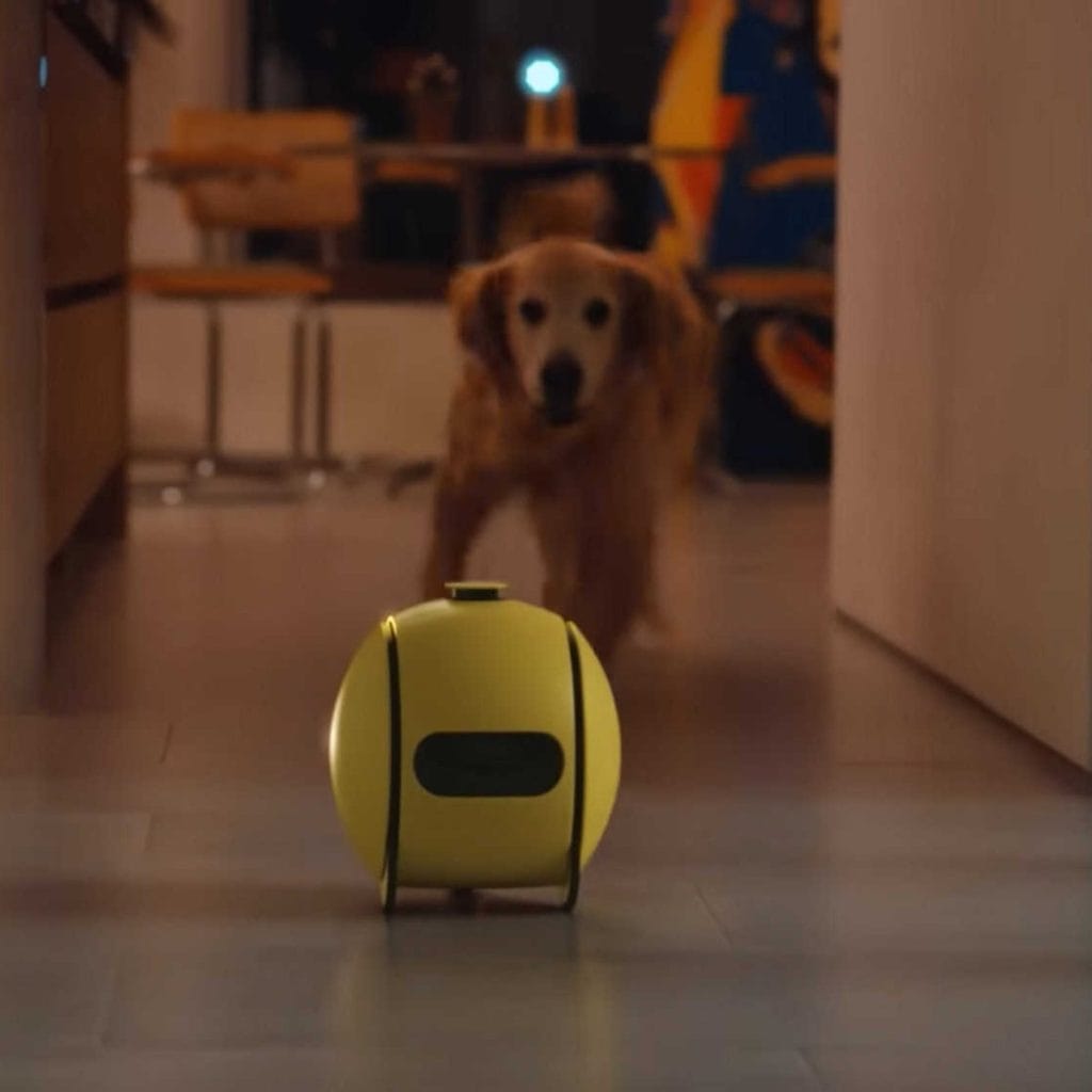 말하는 안경과 로봇 아기? CES 2025의 최신 뉴스와 호기심을 확인하세요 삼성 바이유 로봇