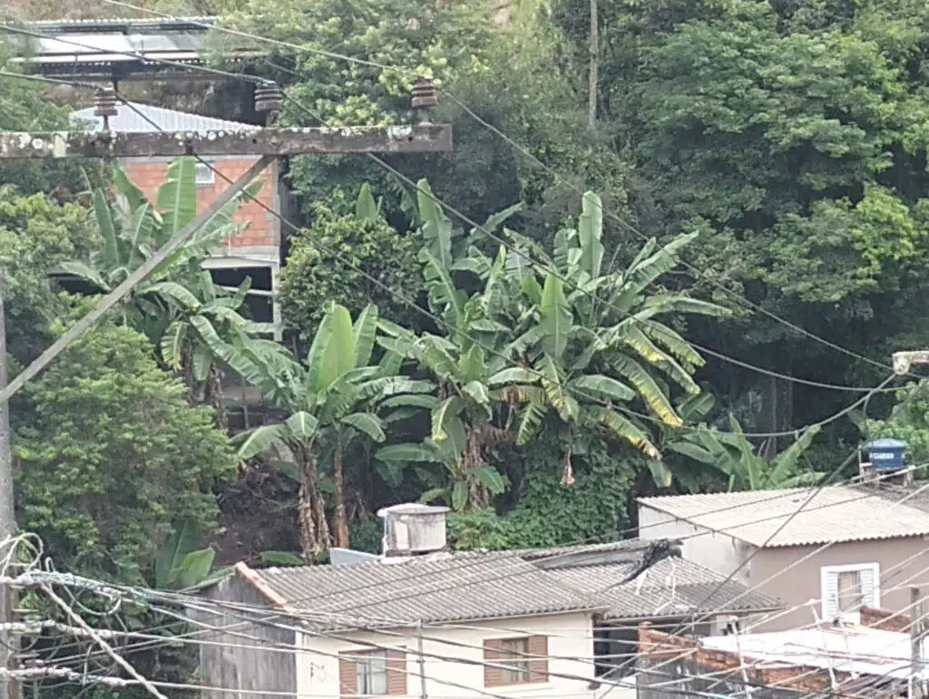 Testbericht: Oppo A40 ist ein günstiges Smartphone, das tolle Fotos macht Testbericht: Das Oppo A40 ist ein günstiges Smartphone, das tolle Fotos macht. Das Gerät kostet weniger als tausend Reais, hat einen Akku, der fast den ganzen Tag hält, und eine 33-W-Schnellladefunktion. Lesen Sie unsere Meinung