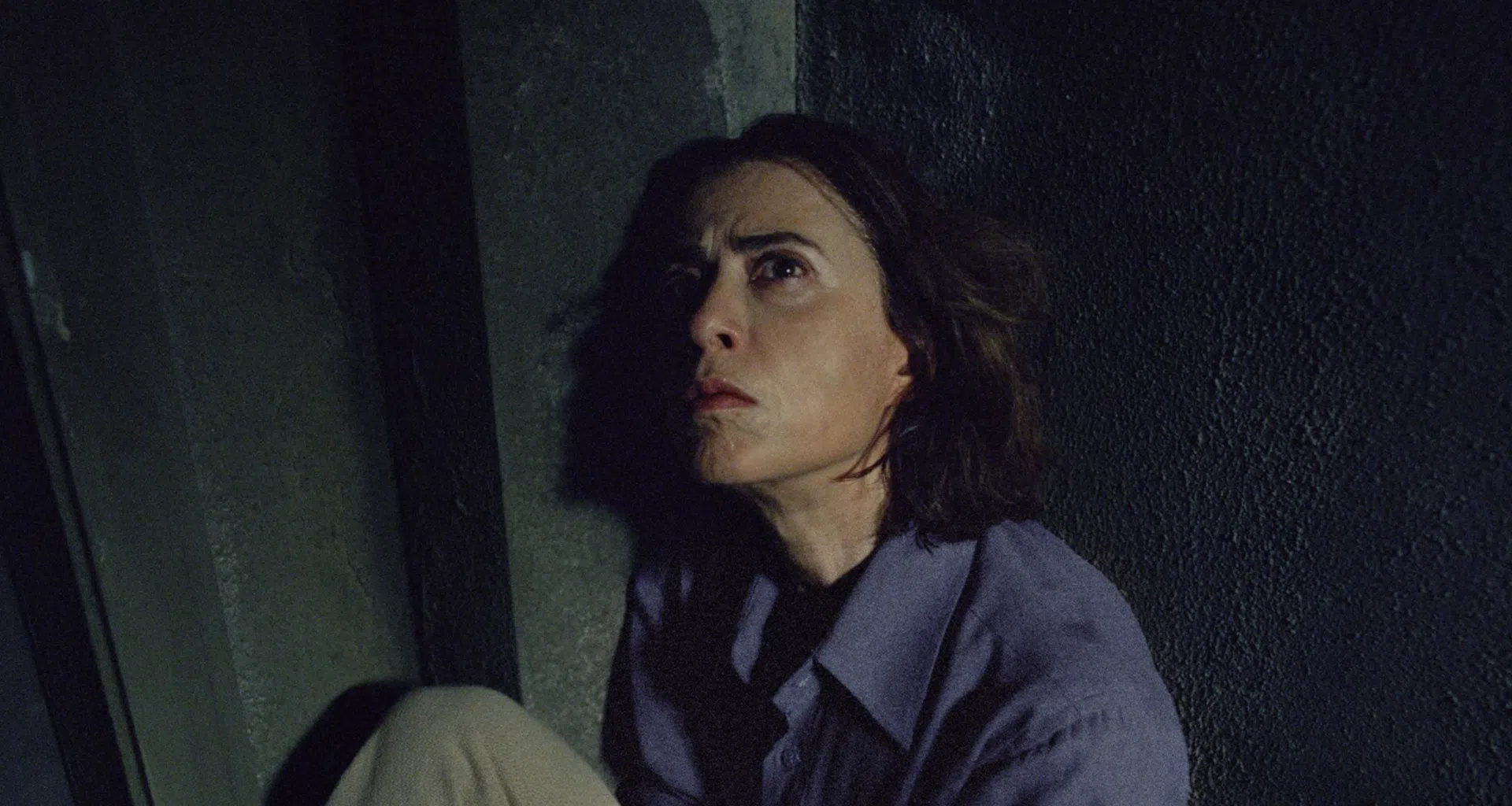 Promozione! La Settimana del Cinema avrà biglietti per R$10,00 con proiezioni di film nominati all'Oscar