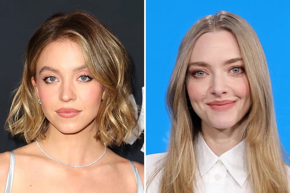 Os filmes mais aguardados de 2025 Sydney sweeney e amanda seyfried são protagonistas de the housemaid, filme que estreia em 2025