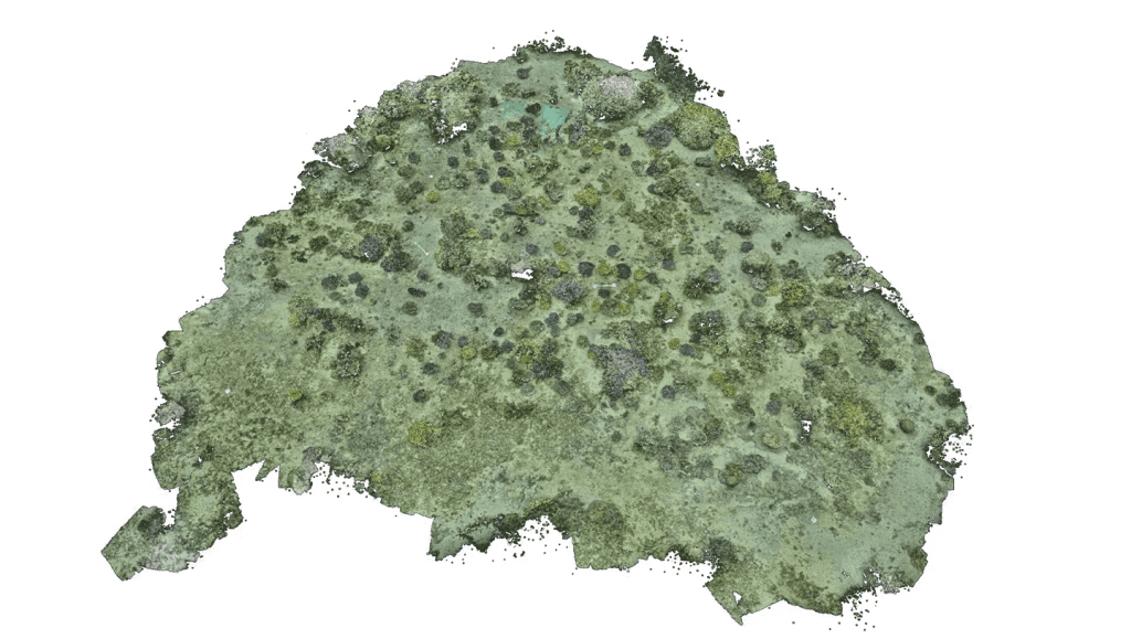 Samsung usa tecnologia de câmeras do galaxy para restaurar recifes de corais Samsung usa tecnologia de câmeras do galaxy para restaurar recifes de corais