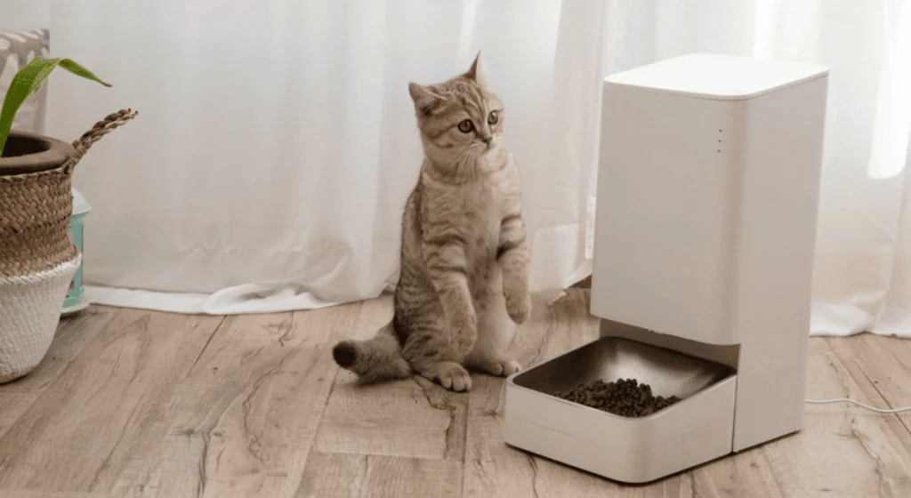 Veja os melhores produtos para a casa conectada (2025) Robô aspirador de pó inteligente com tigre de estimação ao lado, tecnologia para limpeza doméstica eficiente.