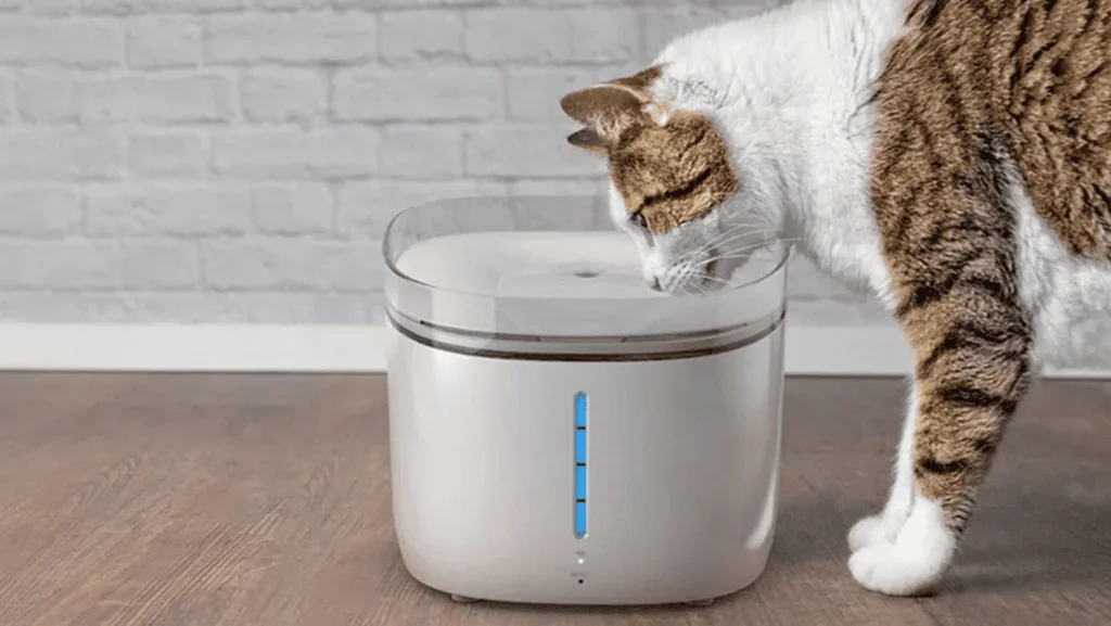 Veja os melhores produtos para a casa conectada (2025) Água frisador inteligente para animais de estimação, acessório inovador para saúde e bem-estar.