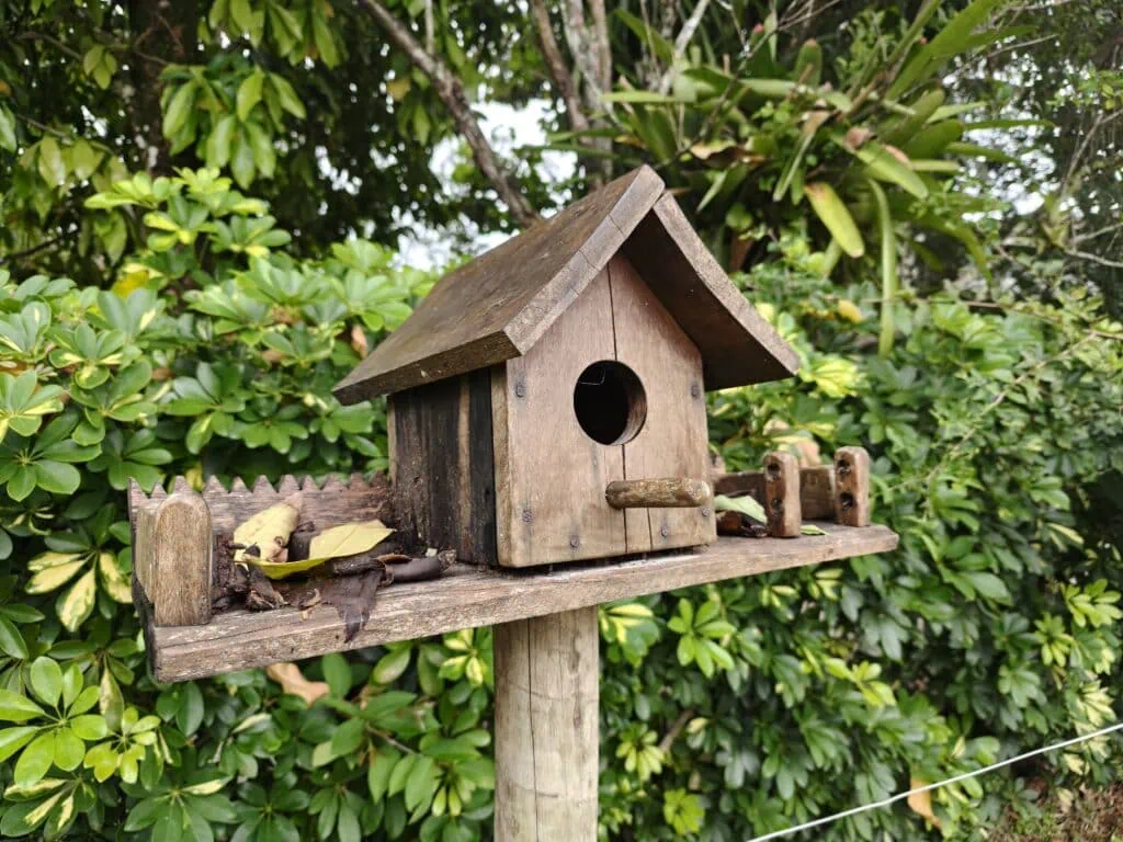 Review: oppo find x8 pro traz câmeras poderosas e alto desempenho Casa de passarinho e árvores