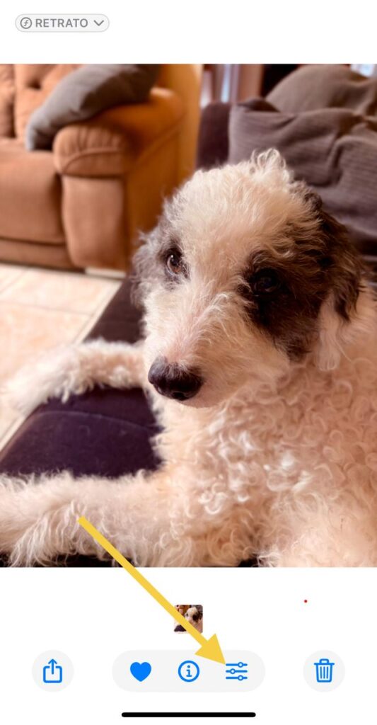 43 tips og triks for iphone 16, 16 plus og iphone 16 pro og 16 pro max Bilderedigering mellom Apple-enheter