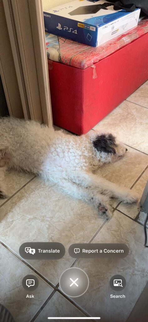 43 tips og triks for iphone 16, 16 plus og iphone 16 pro og 16 pro max Visuell intelligens