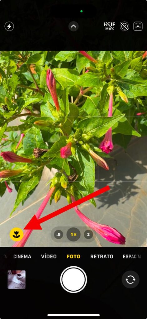 43 tips og triks for iphone 16, 16 plus og iphone 16 pro og 16 pro max Makromodus på iPhone 16