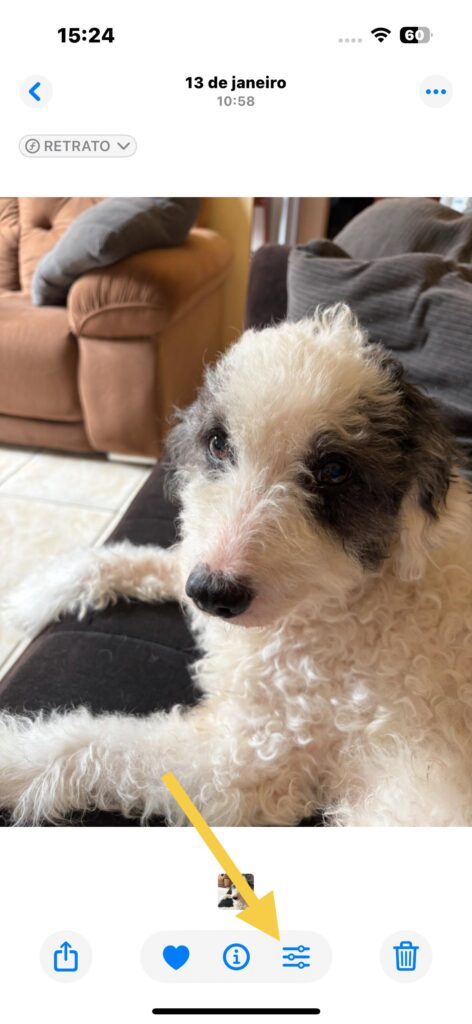 43 tips og triks for iphone 16, 16 plus og iphone 16 pro og 16 pro max Bildestiler på iPhone 16