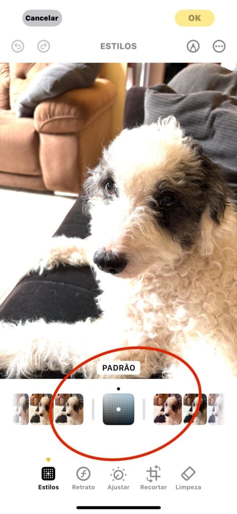 43 tips og triks for iphone 16, 16 plus og iphone 16 pro og 16 pro max Bildestiler på iPhone 16